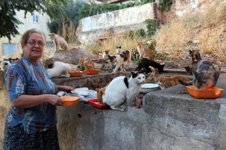 Böyle kedi sevgisi görülmedi