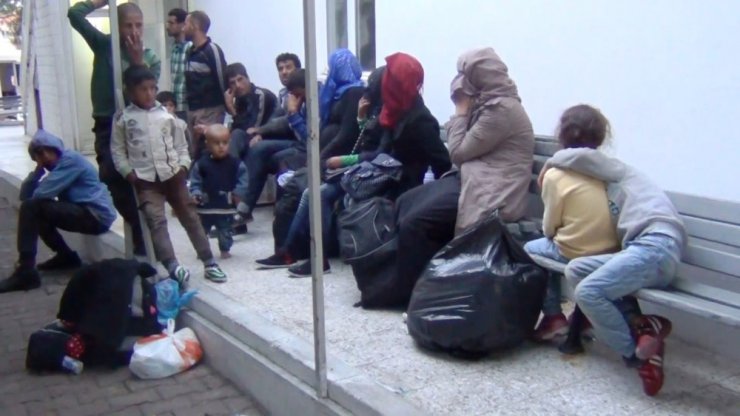 Ayvalık’ta 52 göçmen jandarmadan kaçamadı