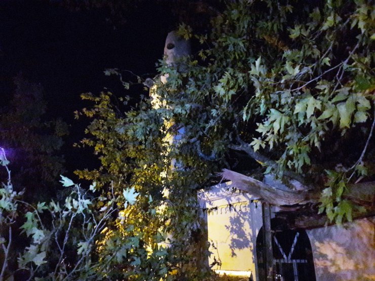 Beykoz’da asırlık çınar ağacı caminin üzerine devrildi