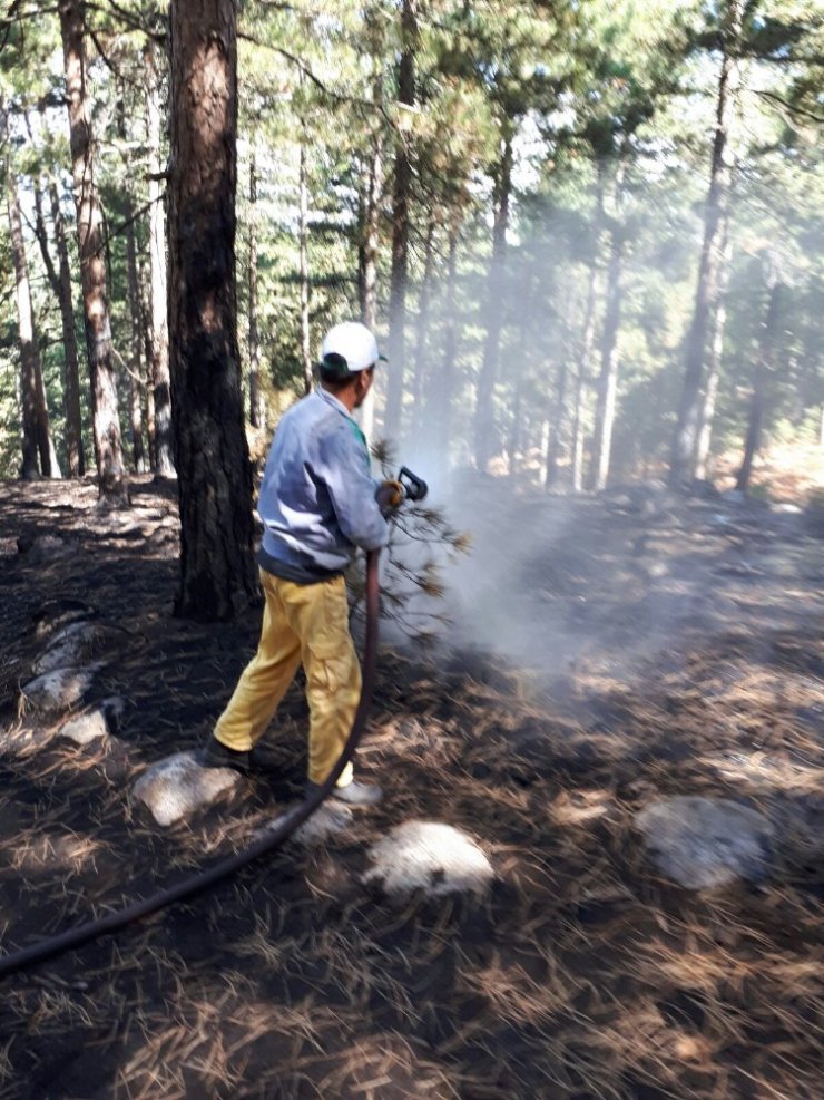 Edremit Orman’ın hızlı müdahalesi orman yangınını önledi