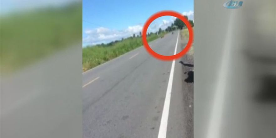 Metrelerce sürüklendi, hiçbir şey olmamış gibi ayağa kalktı