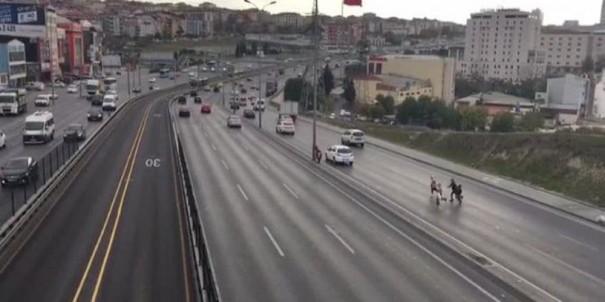Suriyeli çocuklar ölüme davetiye çıkardı