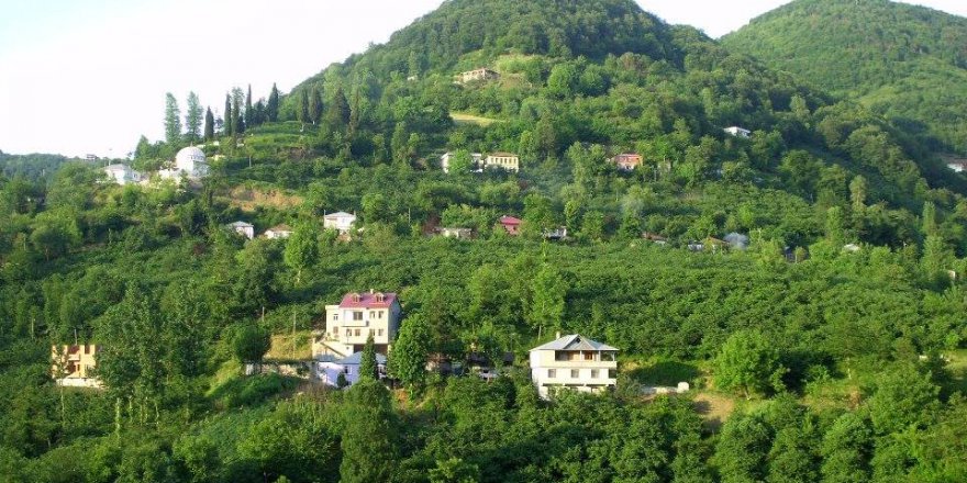 Akçaabat Sarıca Köyü Videosu
