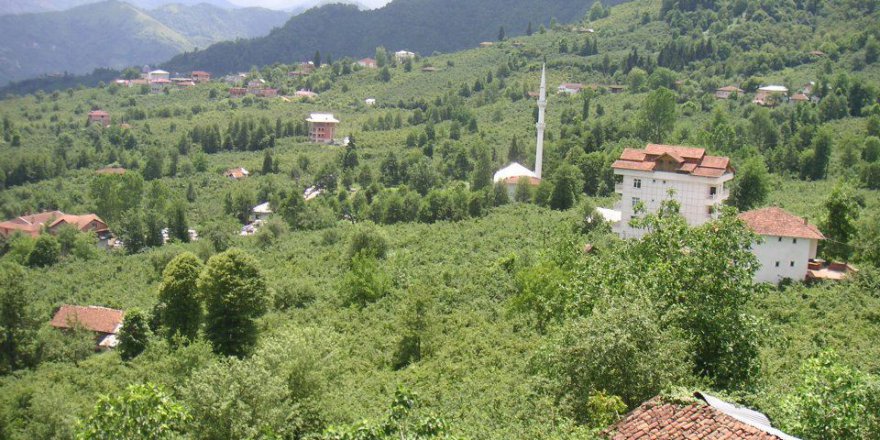 Araklı Ayvadere Köyü Videosu