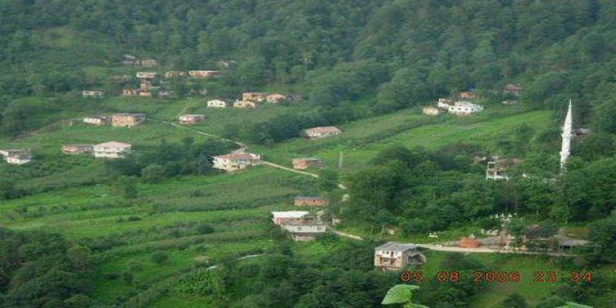 Araklı Çukurçayır Köyü