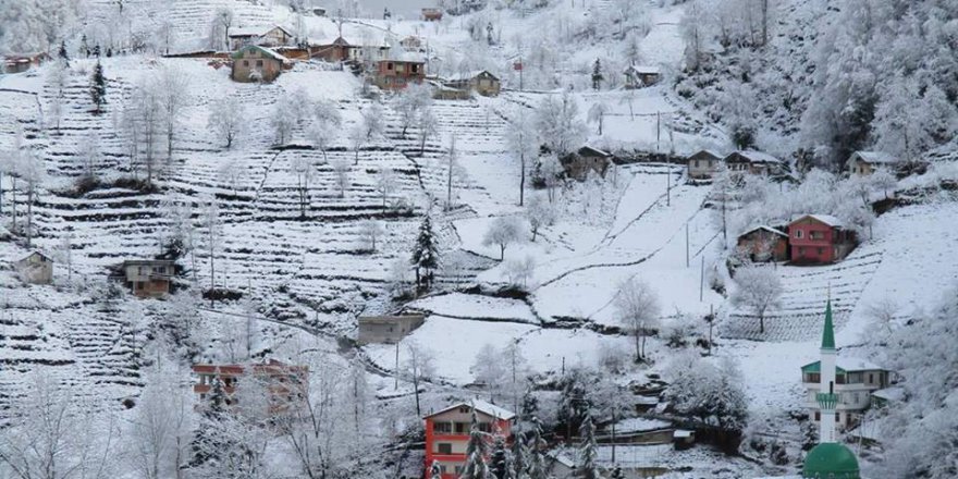 Araklı Türkeli Köyü Videosu