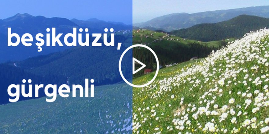 Beşikdüzü Gürgenli  Köyü Videosu