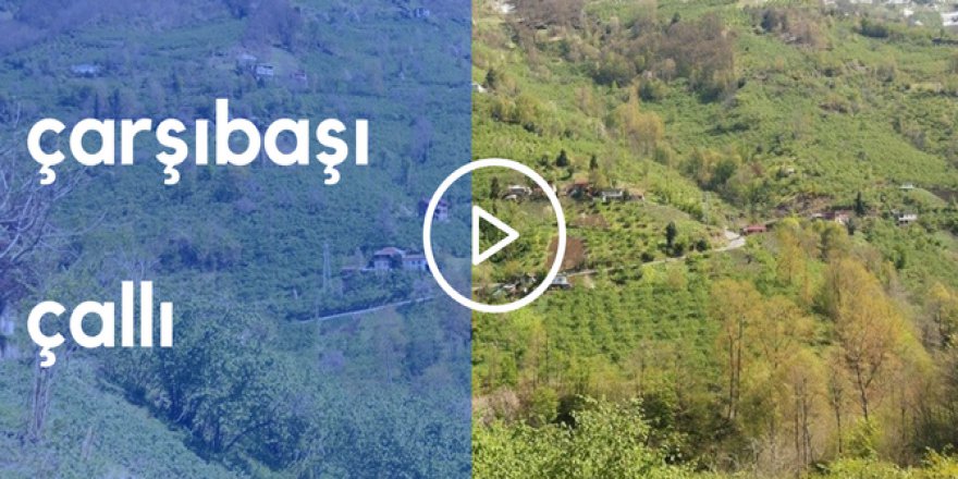 Çarşıbaşı Çallı Köyü Videosu