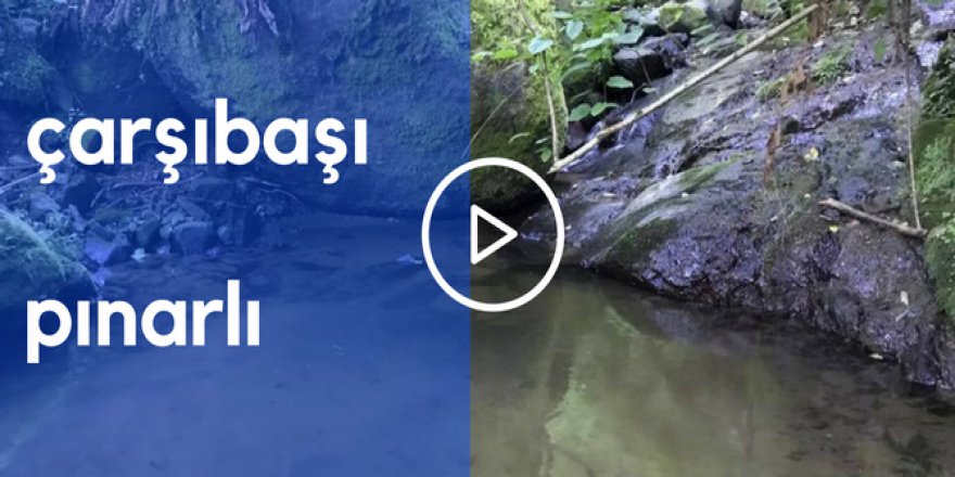 Çarşıbaşı Pınarlı Köyü Videosu