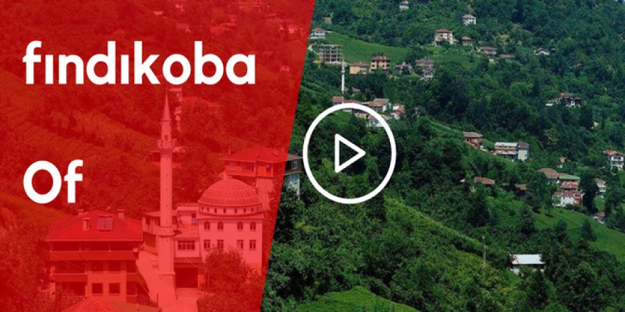 Of Fındıkoba Köyü Video