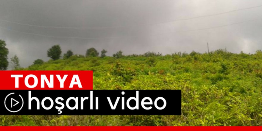 Tonya Hoşarlı Köyü Video