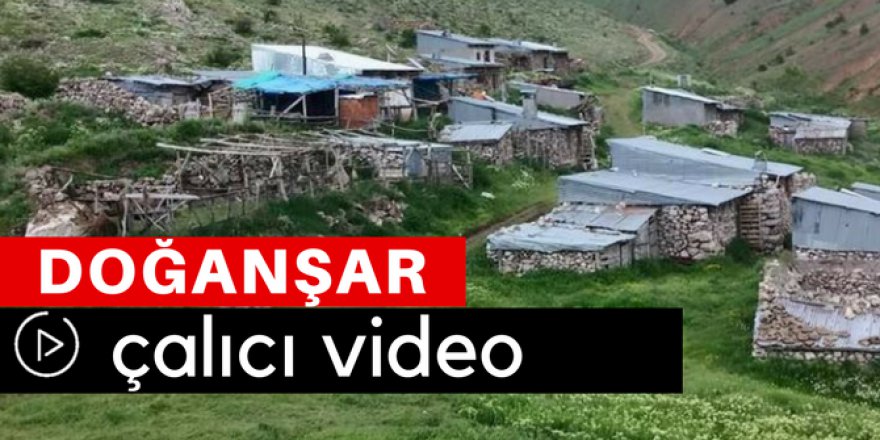 Doğanşar Çalıcı Köyü Video