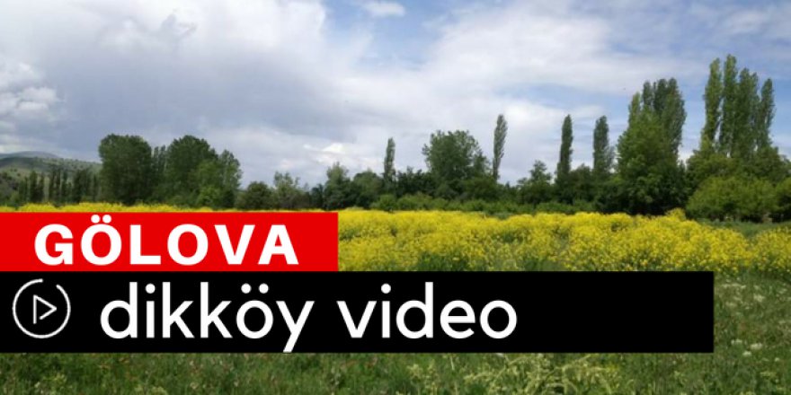 Gölova Dikköy Video