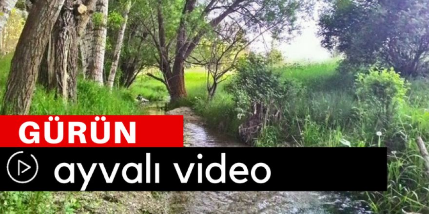 Gürün Ayvalı Köyü Video