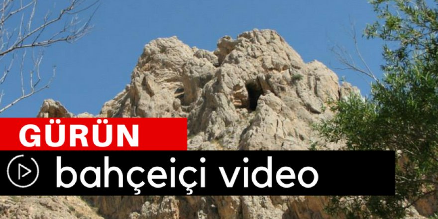 Gürün Bahçeiçi Köyü Video