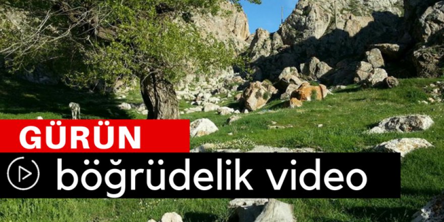 Gürün Böğrüdelik Köyü Video