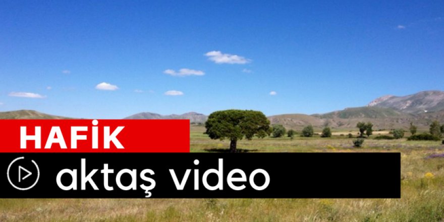 Hafik Aktaş Köyü Video