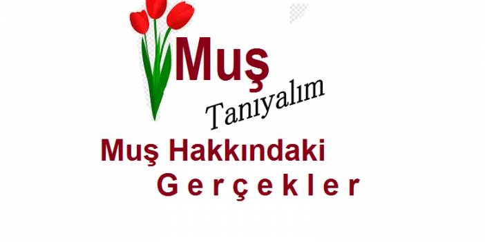 Muş İlini Tanıyalım